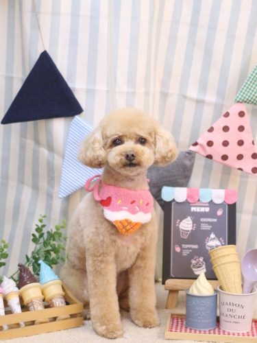 20250501めるちゃん